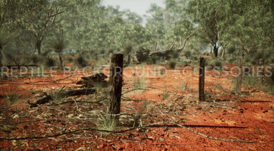 Australia Outback Fence