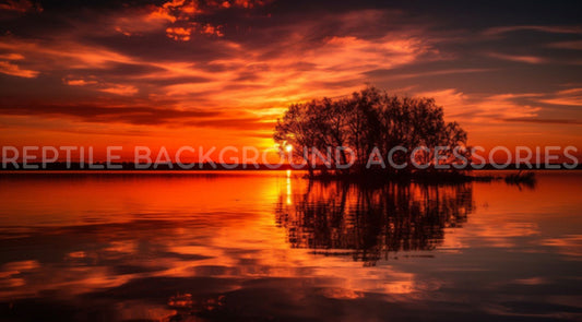 Outback River Sunset