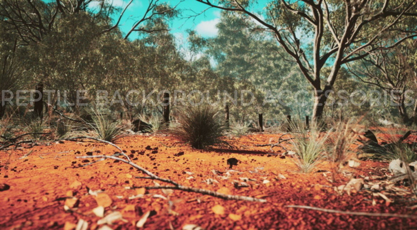 Australian Outback Bushland