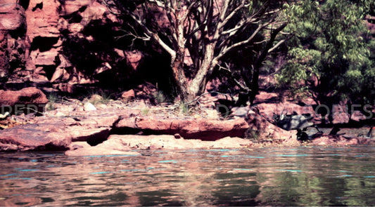 Outback River bank