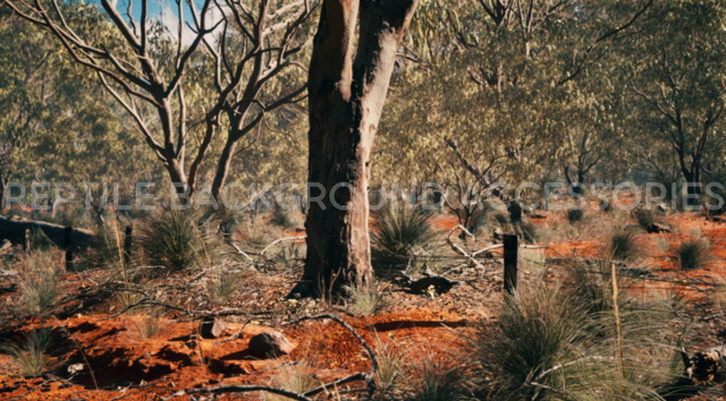 Australian Bushland