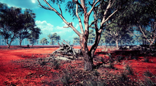 Aussie Outback