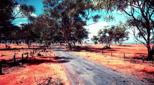 Aussie Back road Bushland