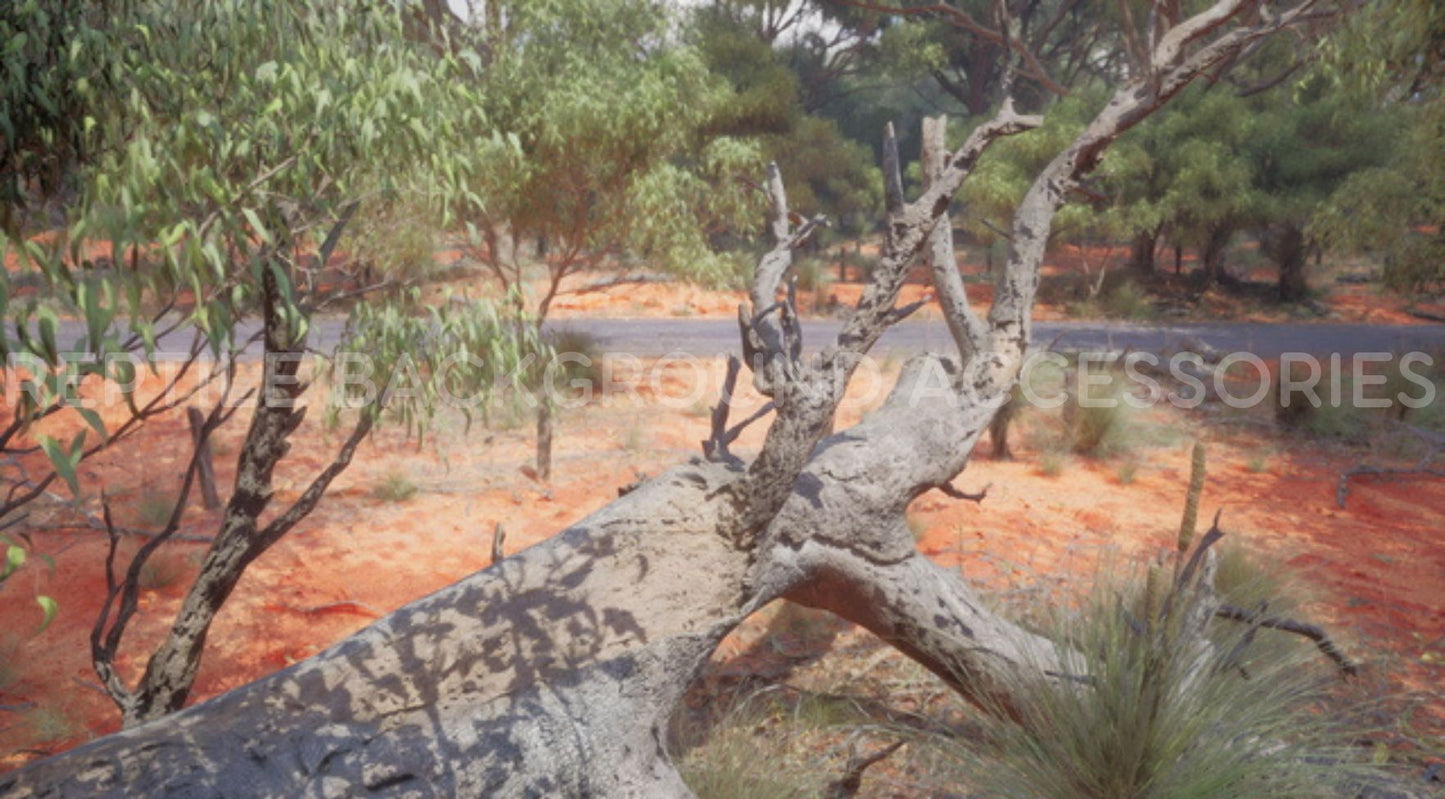 Fallen Tree Aussie Outback